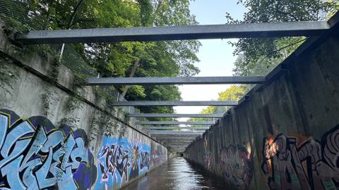 Morrison Wedgewood Diversion Channel photo 5