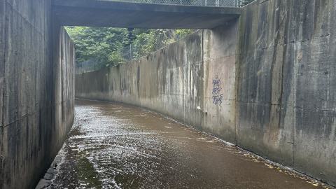 Drain to Sixteen Mile - IMG_7806.jpeg