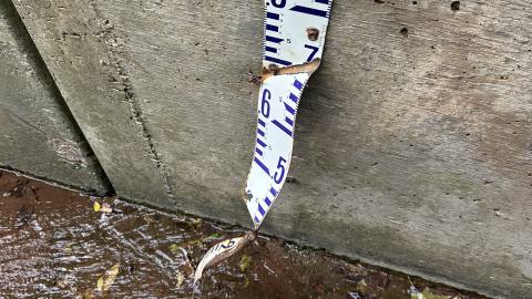 Drain to Sixteen Mile - IMG_7808.jpeg