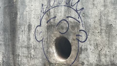 Drain to Sixteen Mile - IMG_7809.jpeg