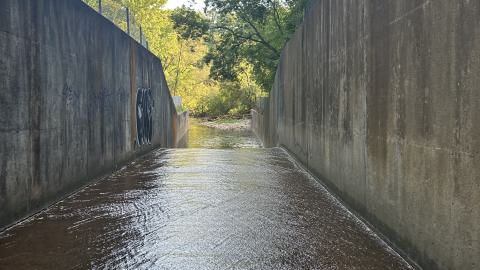 Drain to Sixteen Mile - IMG_7810.jpeg