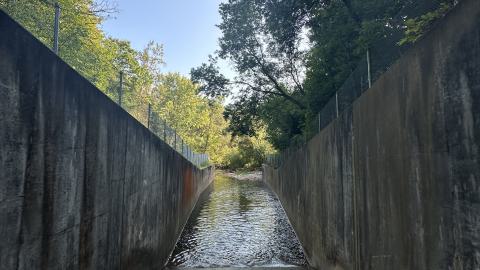 Drain to Sixteen Mile - IMG_7813.jpeg