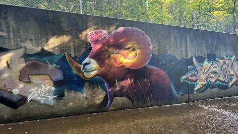 Drain to Sixteen Mile - IMG_7814.jpeg