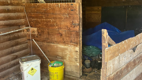 Horse Ranch + House cover photo