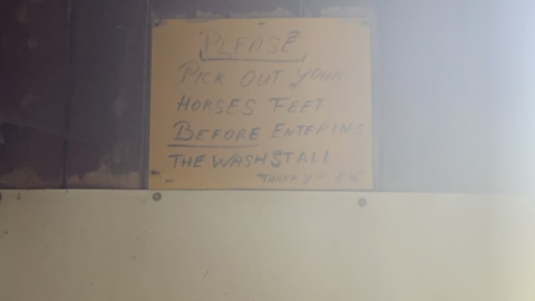 Photo from Horse Ranch + House