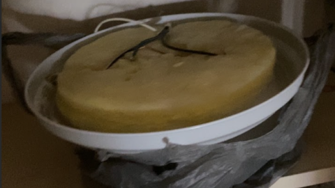 Horse Ranch + House - Screenshot 2024-08-27 153435.png