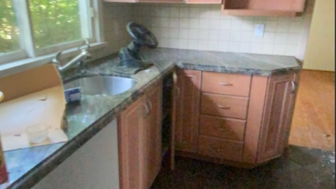 Horse Ranch + House - Screenshot 2024-08-27 153440.png