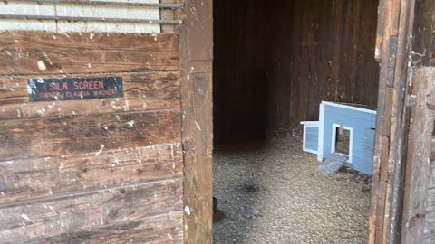 Horse Ranch + House - Screenshot 2024-08-27 153450.png