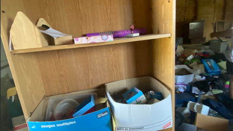 Horse Ranch + House - Screenshot 2024-08-27 153515.png