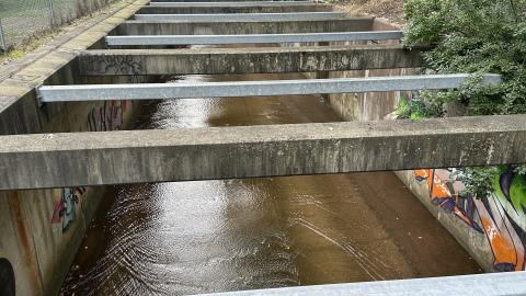 Drain to Sixteen Mile - IMG_7642.jpeg