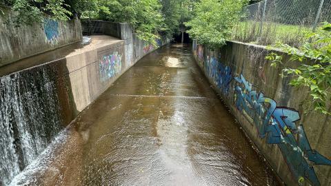 Drain to Sixteen Mile - IMG_7643.jpeg