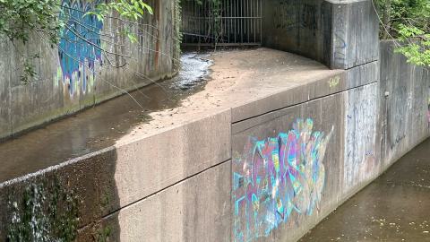 Drain to Sixteen Mile - IMG_7644.jpeg