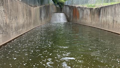 Drain to Sixteen Mile - IMG_7645.jpeg