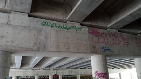 Photo from NO arches