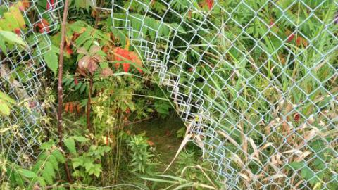 Photo from just the tower