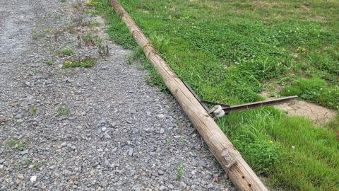 Suprise Find - 20240828_161330.jpg