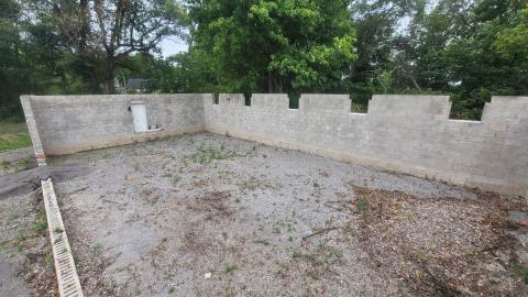 Suprise Find - 20240828_161455.jpg