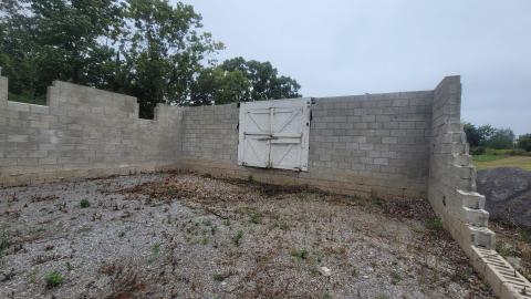 Suprise Find - 20240828_161420.jpg