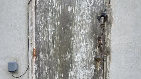 Suprise Find - 20240828_161749.jpg