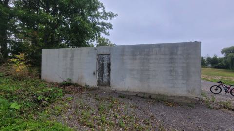 Suprise Find - 20240828_161717.jpg