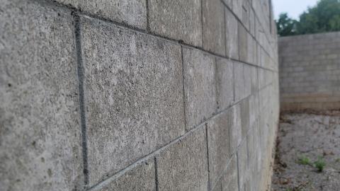 Suprise Find - 20240828_161619.jpg