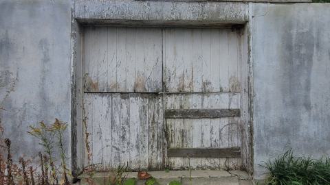 Suprise Find - 20240828_161853.jpg