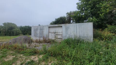 Suprise Find - 20240828_161842.jpg