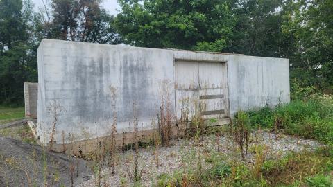 Suprise Find - 20240828_161831.jpg