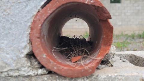 Suprise Find - 20240828_162051.jpg