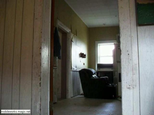 Pogo Plunger photo 2