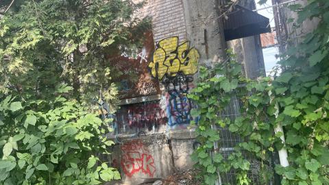 Silo 5 (2024) - IMG_7826.jpeg