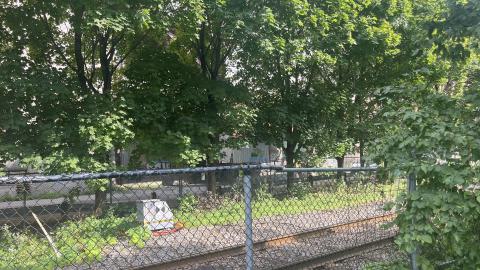 Silo 5 (2024) - IMG_7830.jpeg