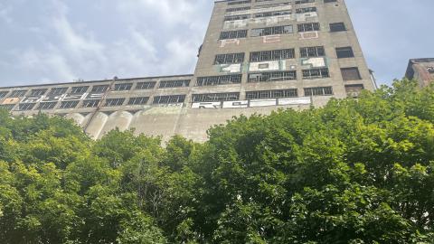 Silo 5 (2024) - IMG_7831.jpeg