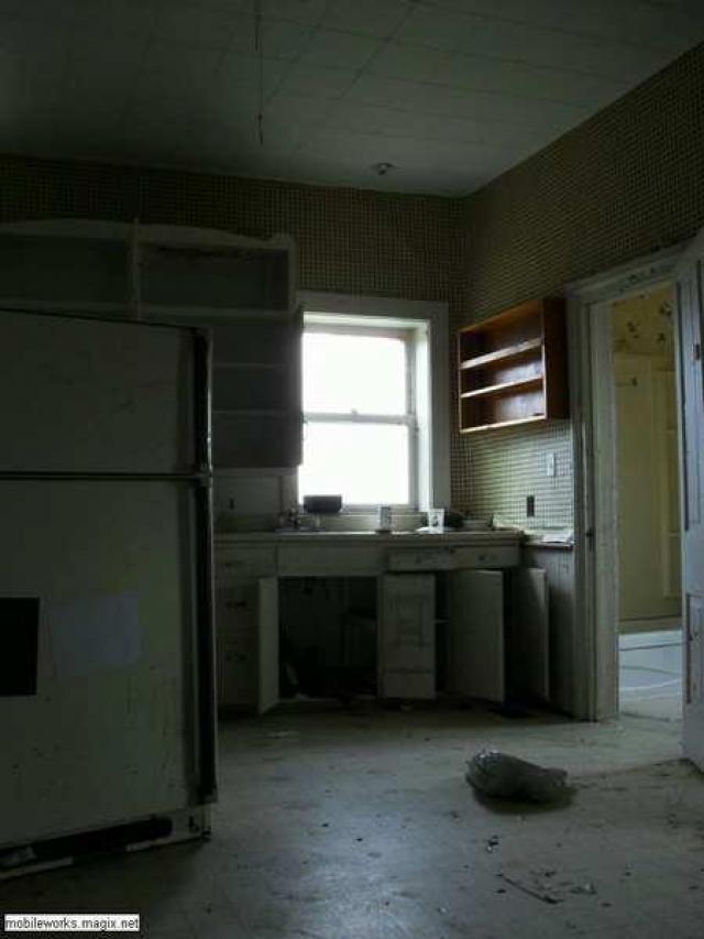 Pogo Plunger - Minto, Ontario