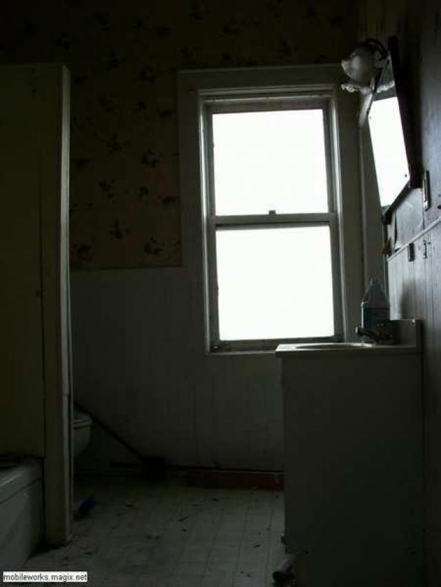 Pogo Plunger photo 3