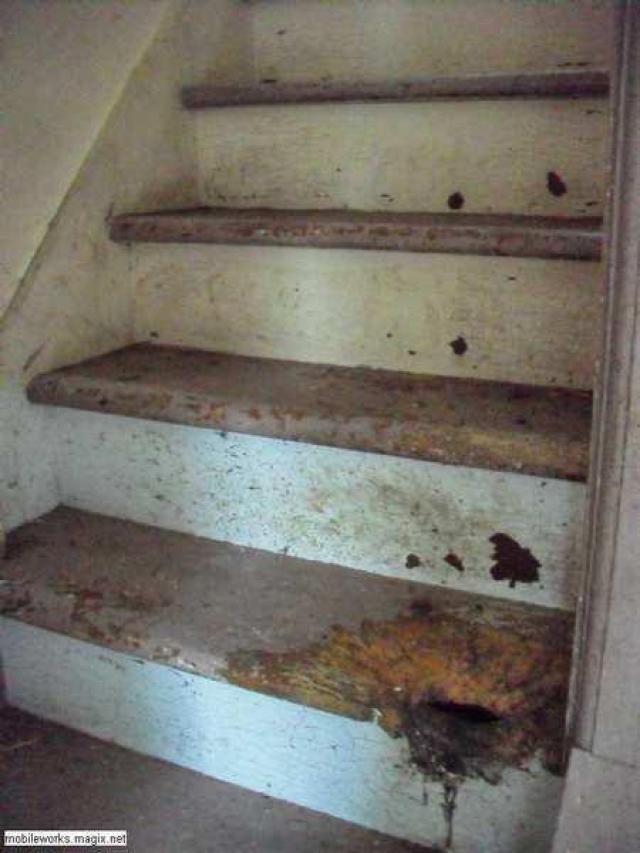 Pogo Plunger photo 5