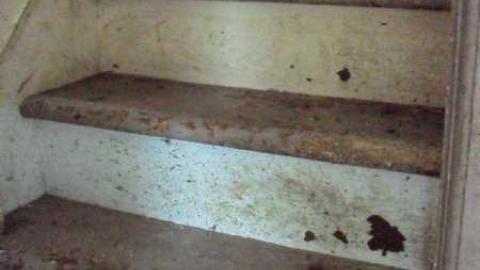 Kyle lived here - SAM_4957li.jpg