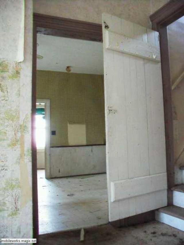 Pogo Plunger photo 4