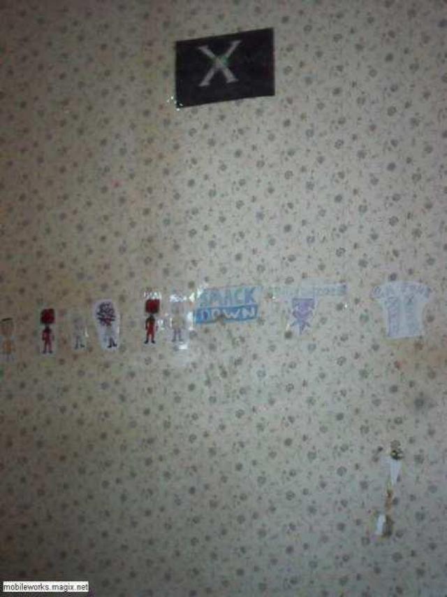 Pogo Plunger photo 5