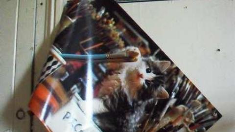 Kyle lived here - SAM_4964.jpg