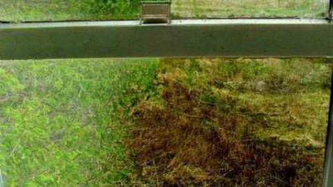 Kyle lived here - SAM_4966li.jpg