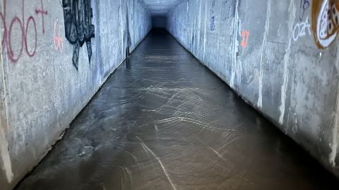 Suburban Iron Crossism - IMG_7870.jpeg