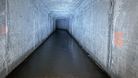 Suburban Fascism photo 2