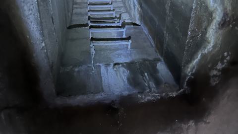 Suburban Fascism - Oakville, Ontario