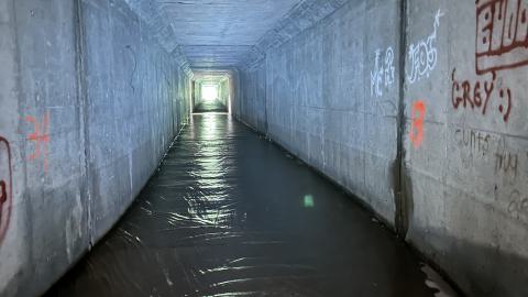 Suburban Iron Crossism - IMG_7878.jpeg