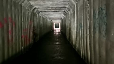 Suburban Fascism photo 4