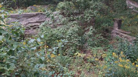 Huron Natural Area Ruins - 20240829_171217.jpg
