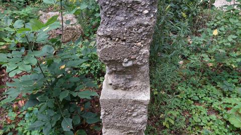 Huron Natural Area Ruins - 20240829_171234.jpg