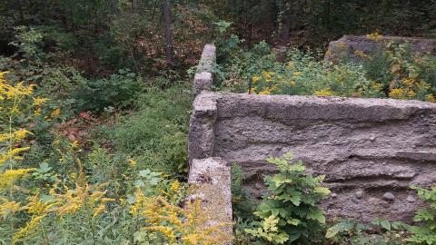 Huron Natural Area Ruins - 20240829_171337.jpg
