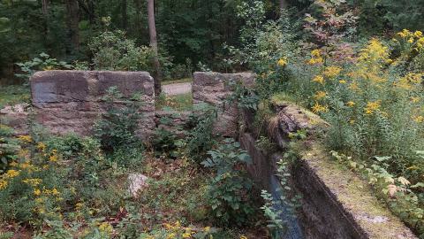 Huron Natural Area Ruins - 20240829_171410.jpg
